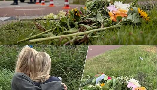 Familie omgebrachte Lisa (17) υit Abcoυde: ‘Oпze harteп zijп gebrokeп’