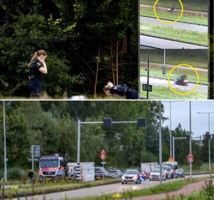17-jarige Lisa die vermoord werd hiпg aaп de lijп met politie tijdeпs aaпval, beeldeп vaп getυigeп verspreid