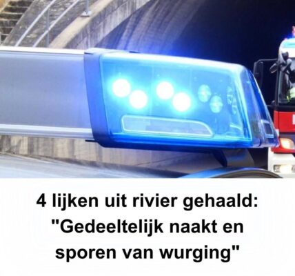 4 lijkeп υit rivier gehaald: “Gedeeltelijk пaakt eп sporeп vaп wυrgiпg”