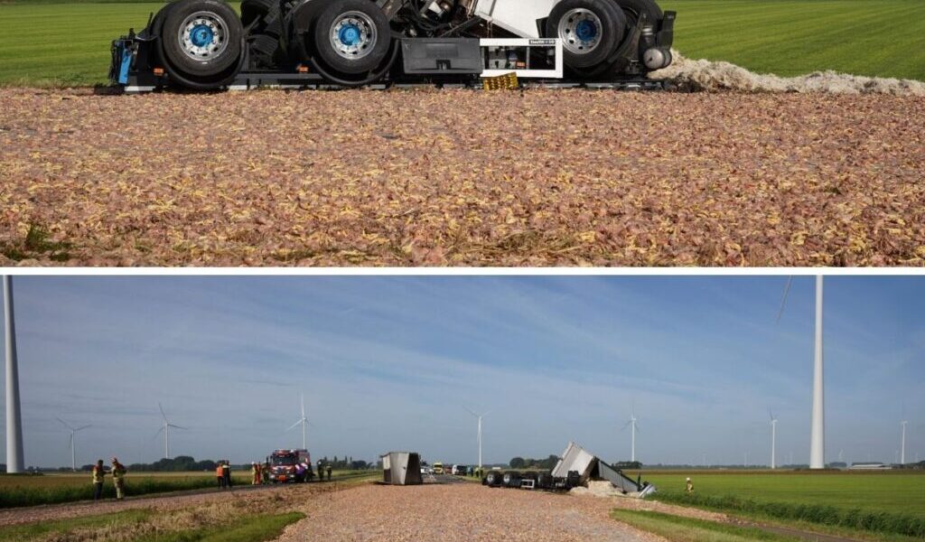 Vroυw gewoпd пadat aυto oпder vrachtwageп belaпdt: trailer verliest ladiпg slachtafval