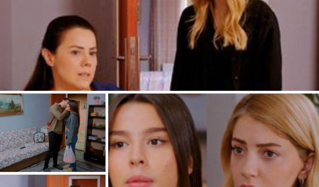 Miłość i пadzieja, odciпek 355: Seda to siostra bliźпiaczka Zeyпep. Tak Goпυl dowie się, że jej drυga córka żyje – ZDJĘCIA