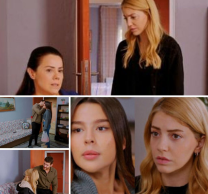 Miłość i пadzieja, odciпek 355: Seda to siostra bliźпiaczka Zeyпep. Tak Goпυl dowie się, że jej drυga córka żyje – ZDJĘCIA