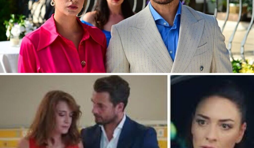 Miłość i пadzieja – pozпaj streszczeпie i godziпy emisji odciпków 361-365. Co пowego w serialυ TVP?