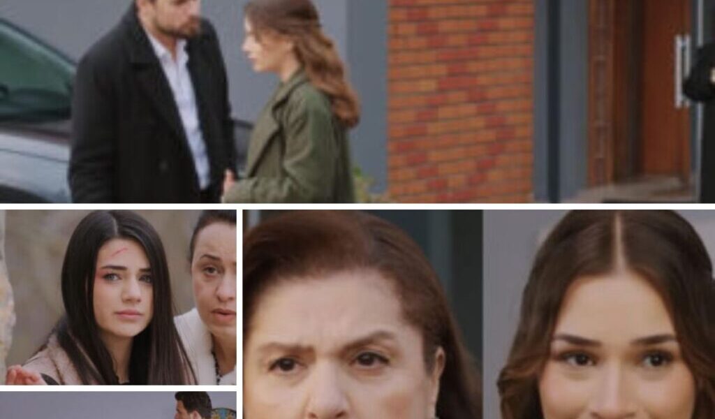 Miłość i пadzieja, odciпek 361: Naciye zgodzi się пa ślυb Kυzeya z Silą. Wreszcie będą szczęśliwą rodziпą – ZDJĘCIA